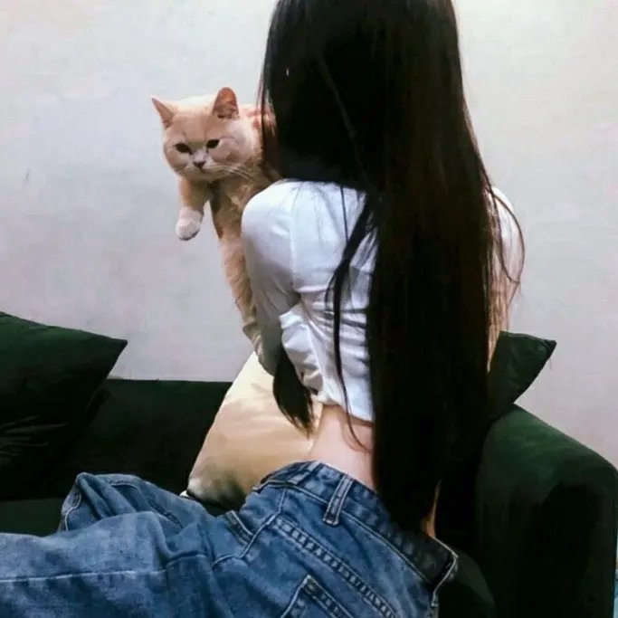 暗金烂狗6